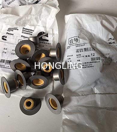 Cummins 6D107 Valve oil seal 3955393